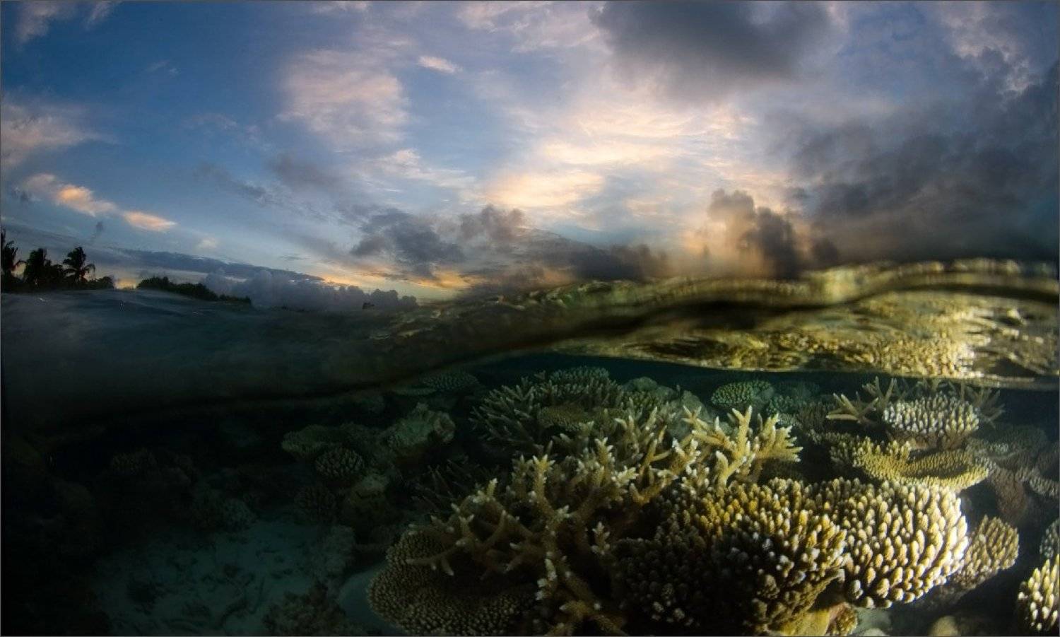 волна_накрыла, Нетушки