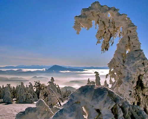 с поклоном к вам зима пришла...