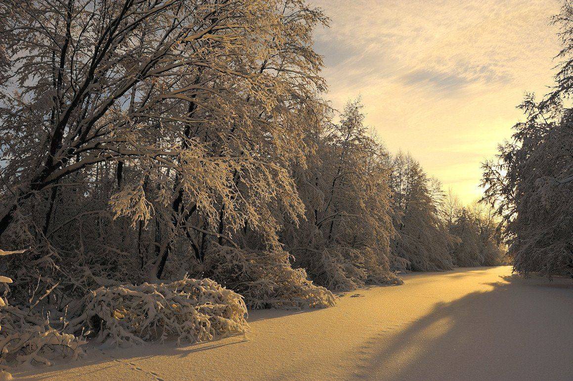 , Андрей Балабин