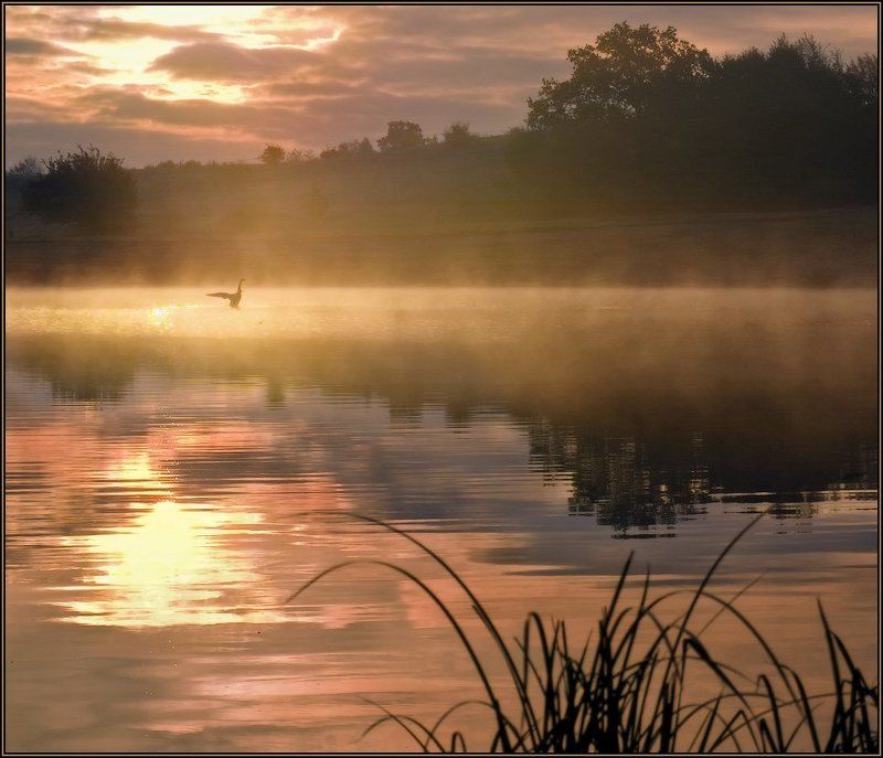Здравствуй, новый день! фото превью