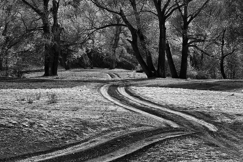 Зигзаги фото превью