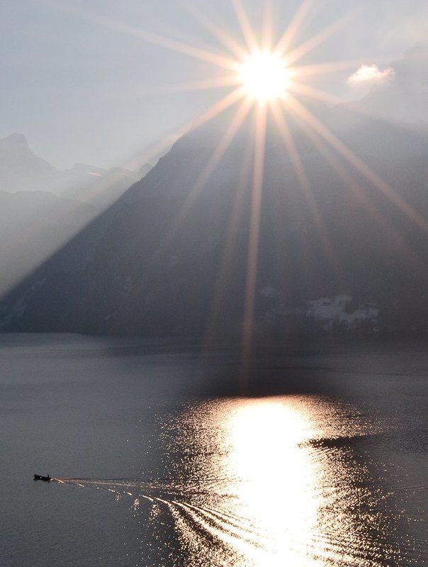 Ловец мечты фото превью