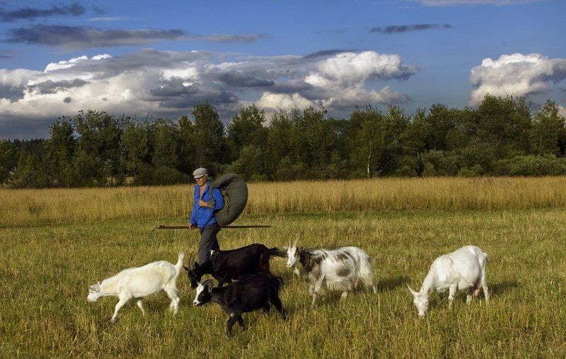 Время пасти коз (2007) фото превью