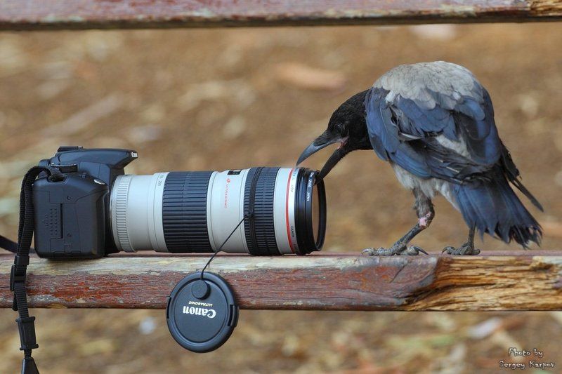 А вот это можно снять.... фото превью