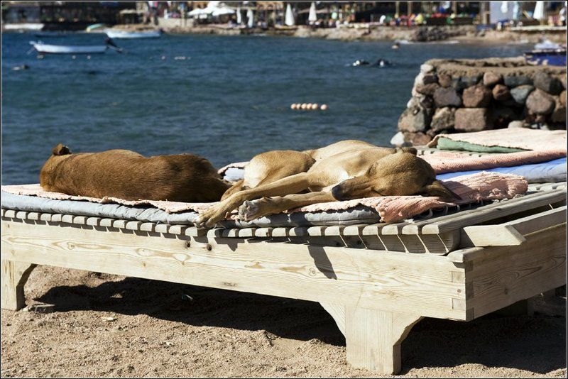 Солнечные ва-а-анны... или Всё включено... фото превью