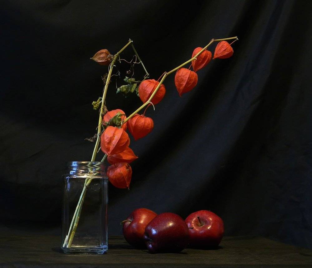 физалис, яблоко, Юлия