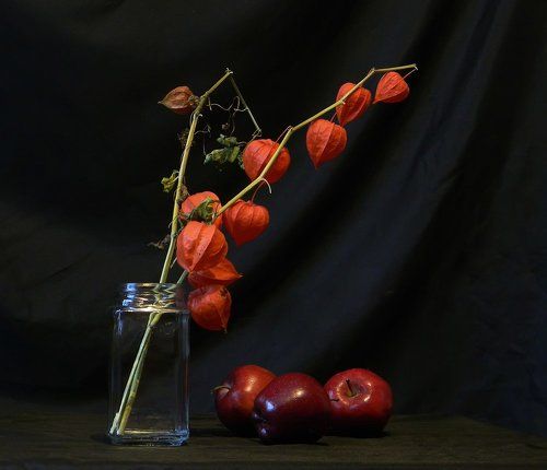 Натюрморт с яблоками и физалисом