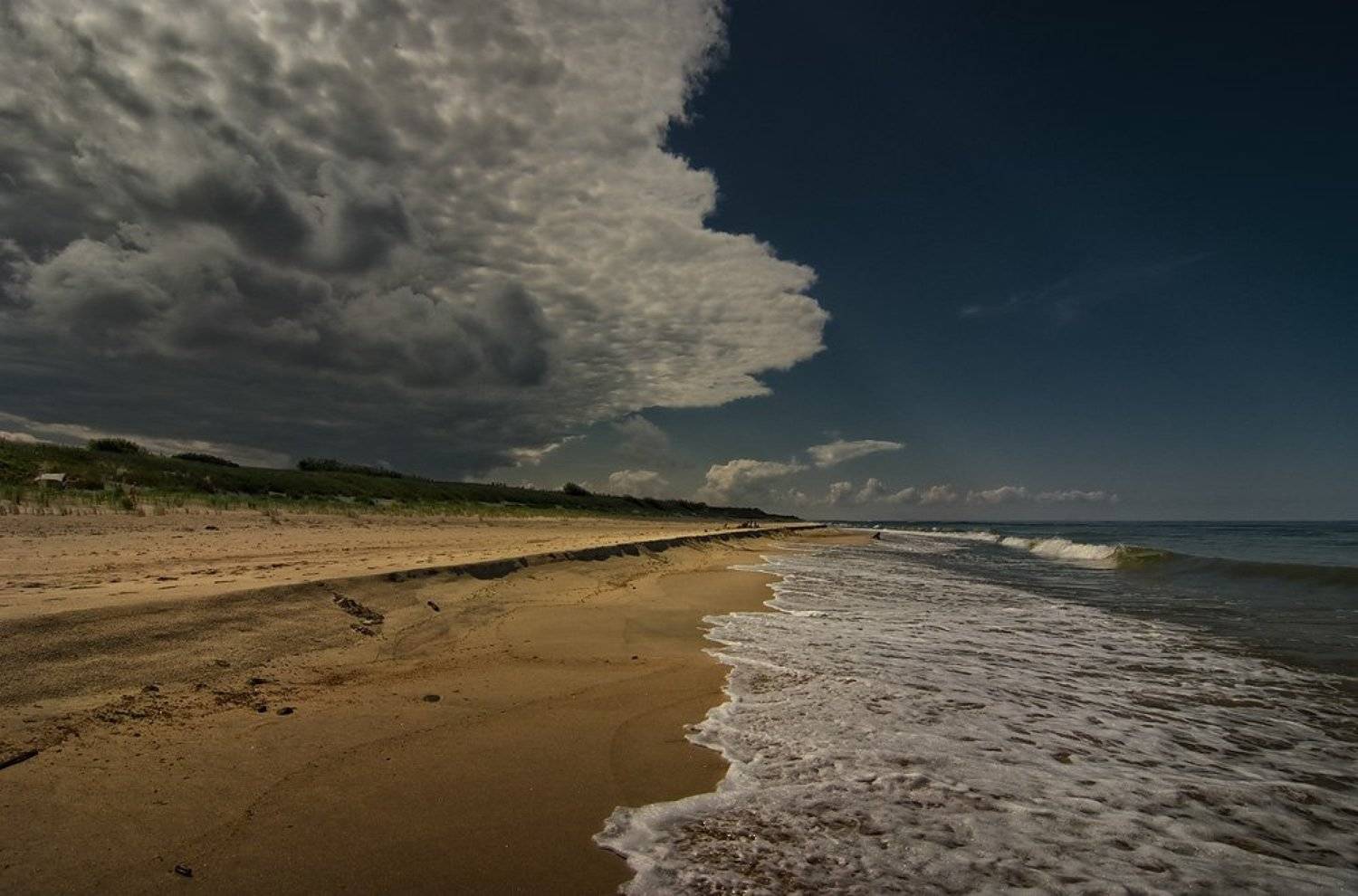 куршская, коса, Александр Титаренко