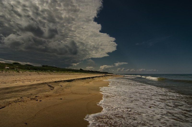 Куршская коса фото превью