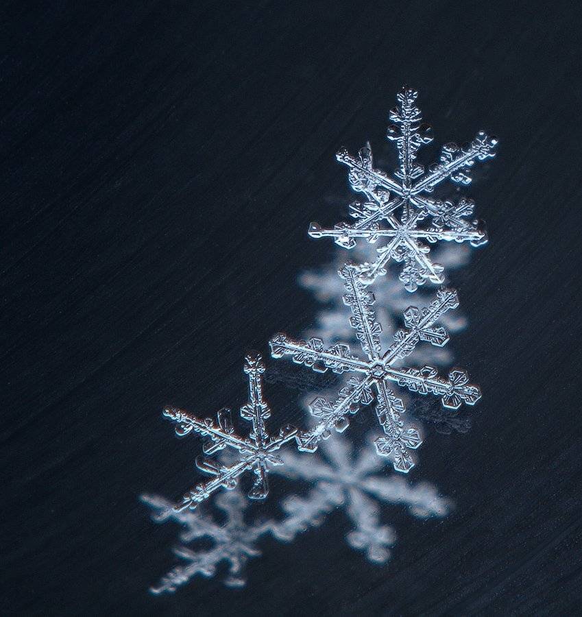 снег, снежинка, зима, Марина Брыдня