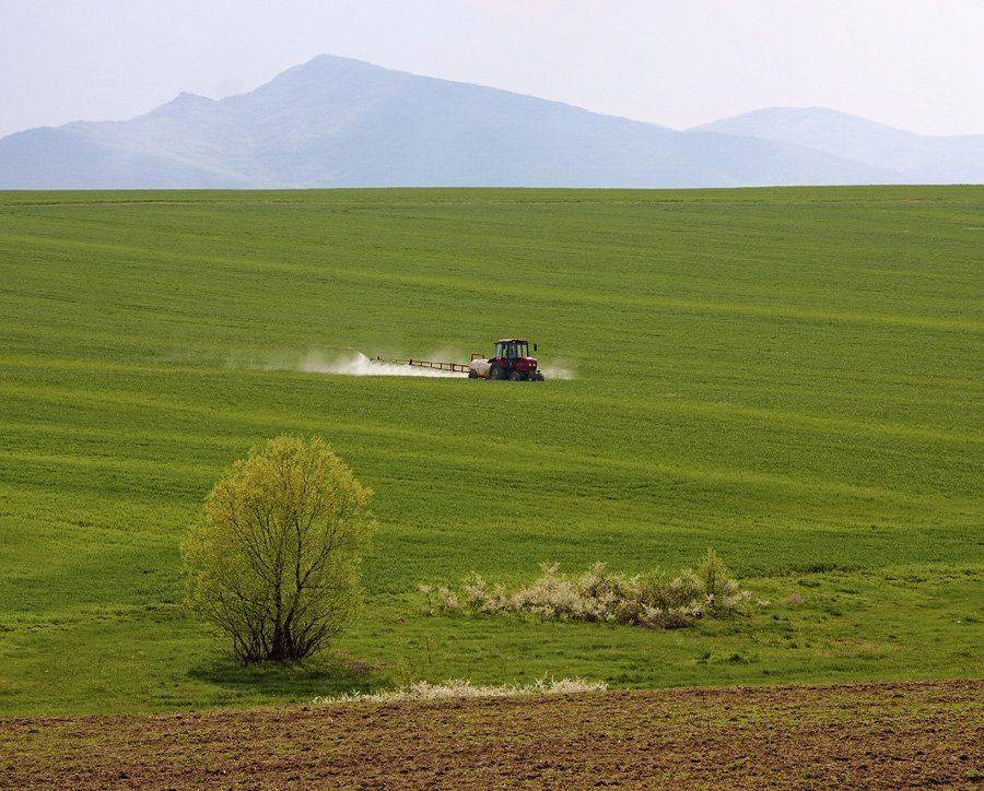 , Kostadin Momchilov