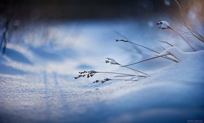... фото превью