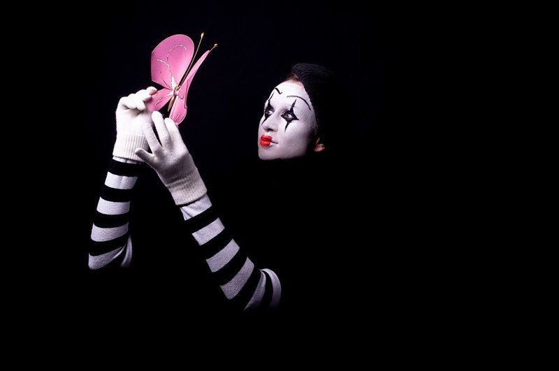 бабочка  фото превью