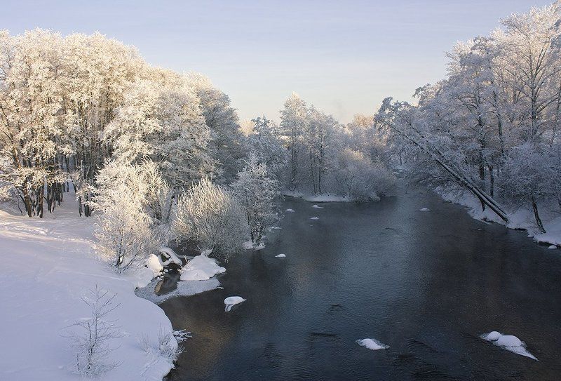 Морозу вопреки фото превью