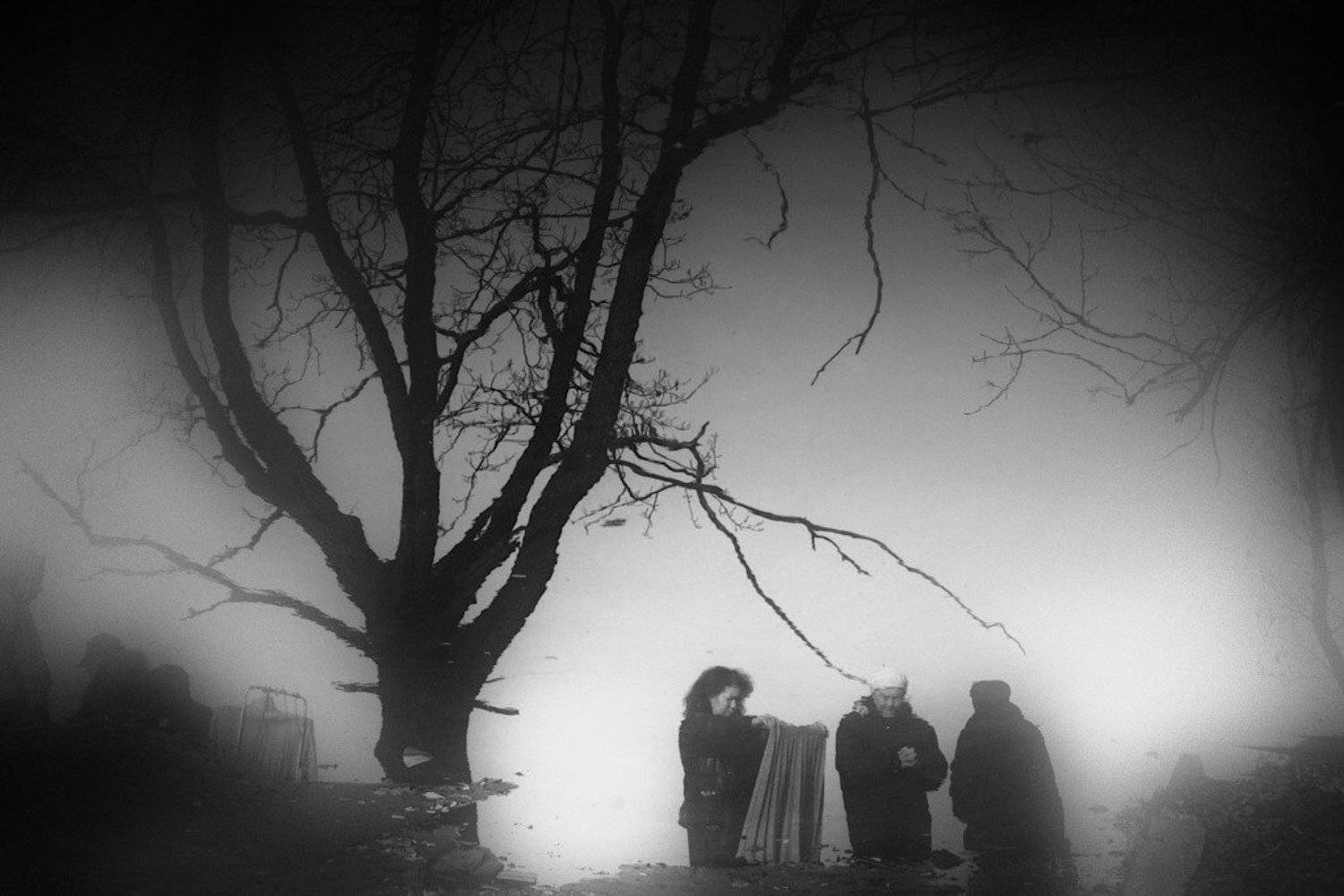 лужа, отражение, осень, пленAIR