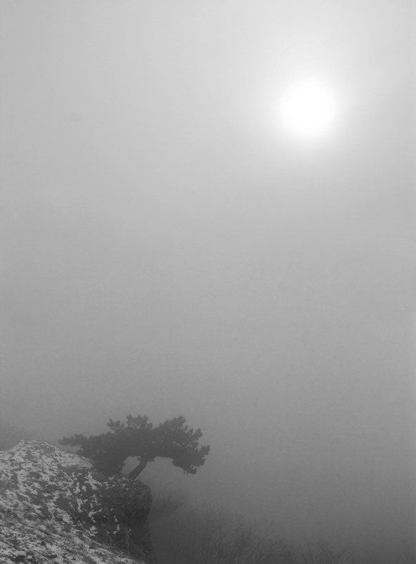 крым, зима, туман, селнце, икар Об Икаре. фото превью