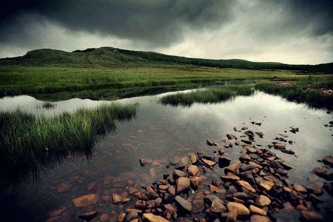 , Bratukhin Alexander A___L___E___X