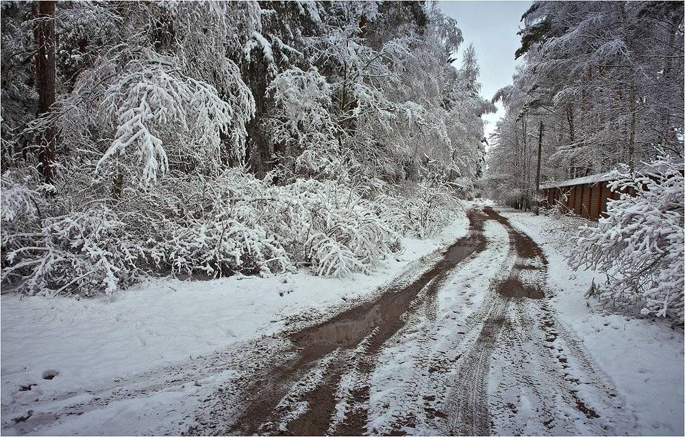 россия, подмосковье, осень, дорога, Сергей Гаспарян