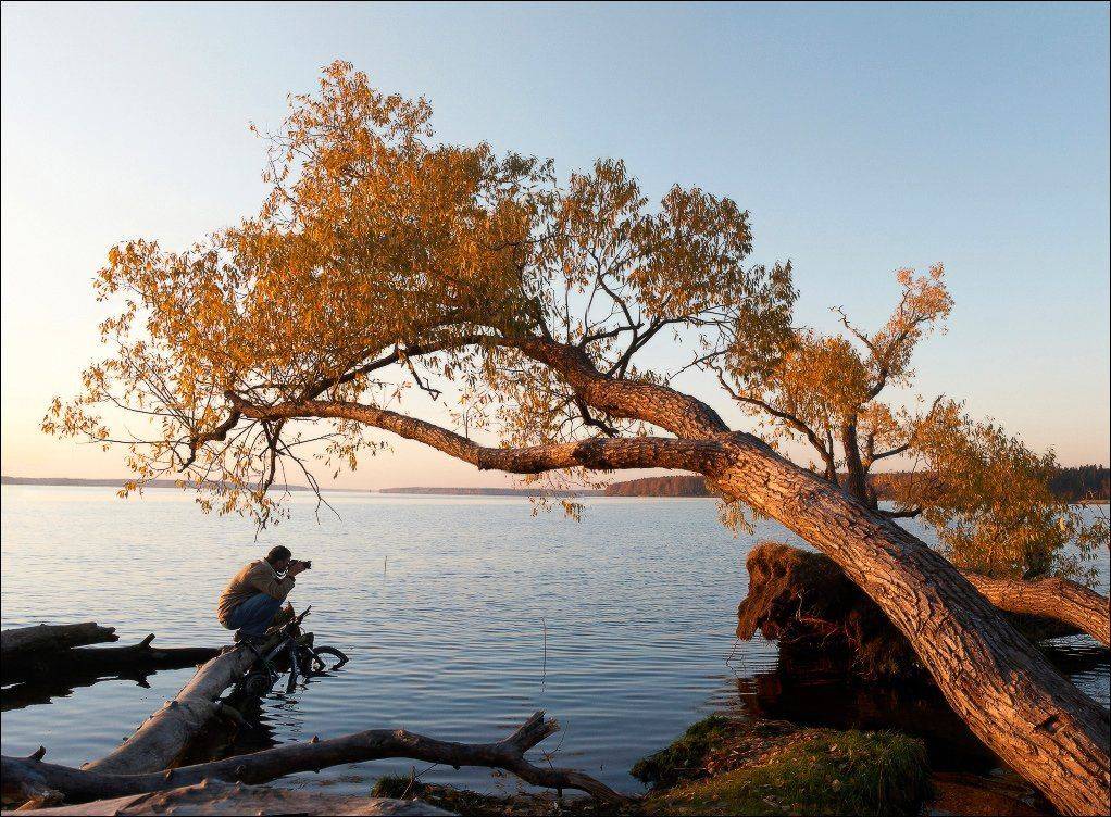 , Вадим Никифоров