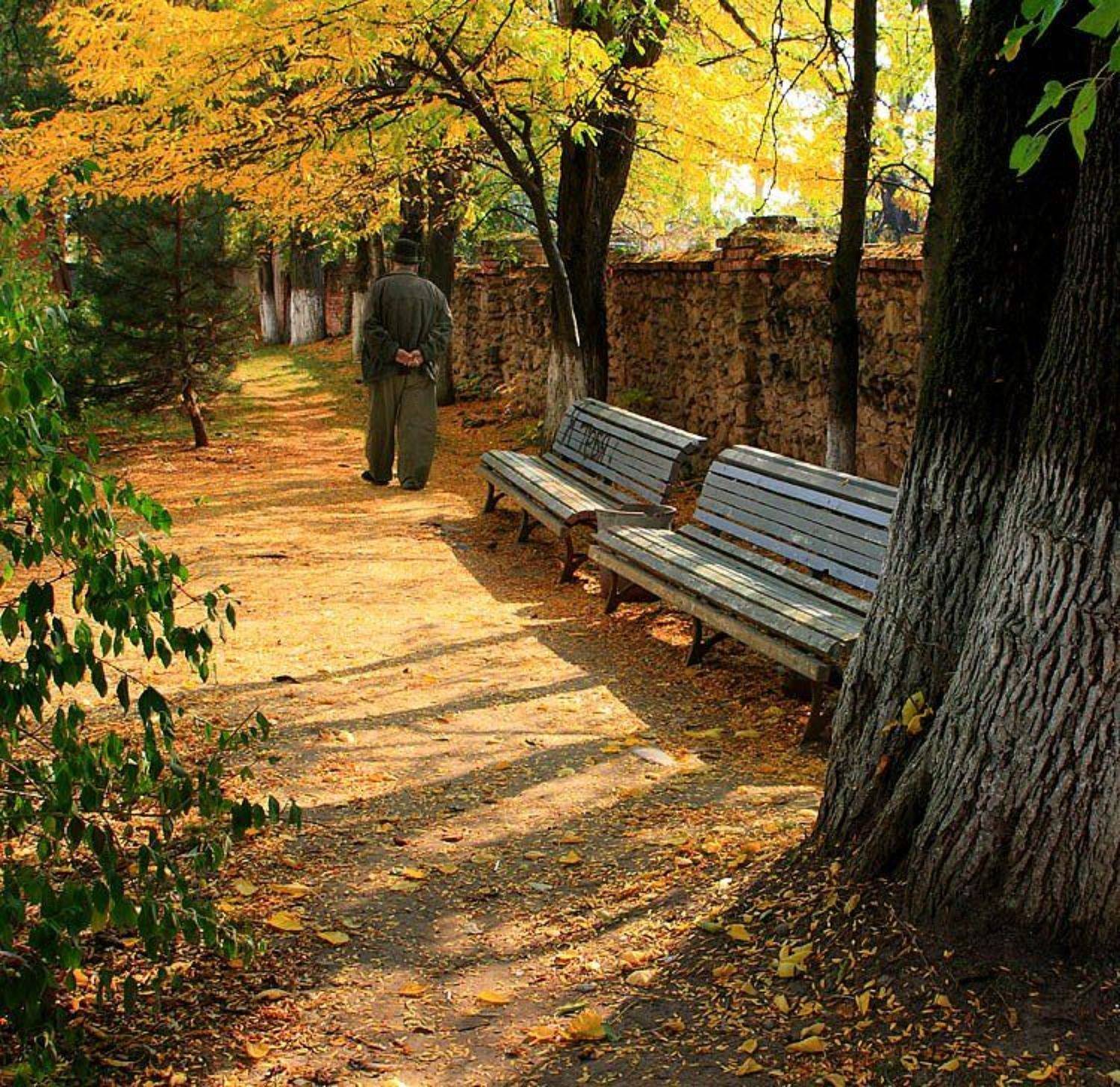 , Иван Кривко