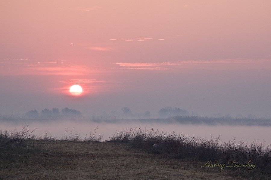 пейзаж;, природа, Андрей Тверской