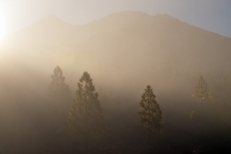 тенерифе,утро,рассвет,лас каньядас дель тейде,туман *** фото превью