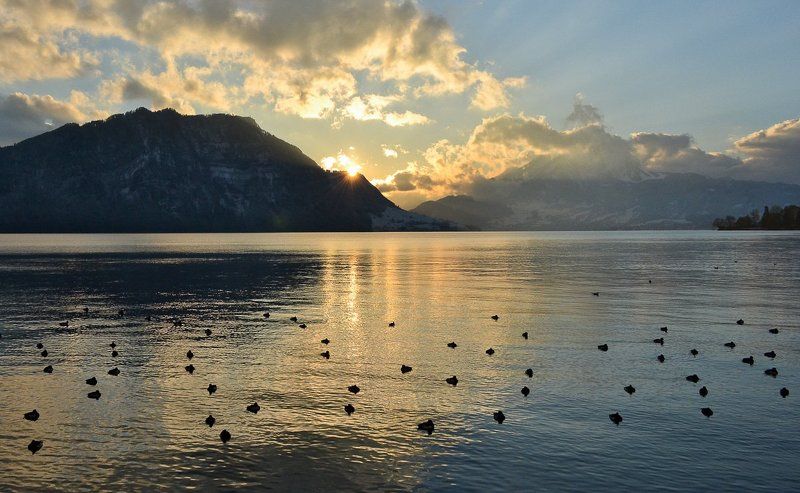 Спокойной ночи... фото превью