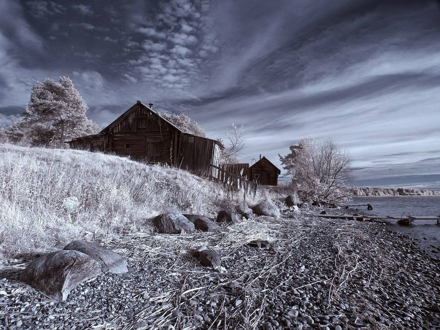 , Максим Евдокимов