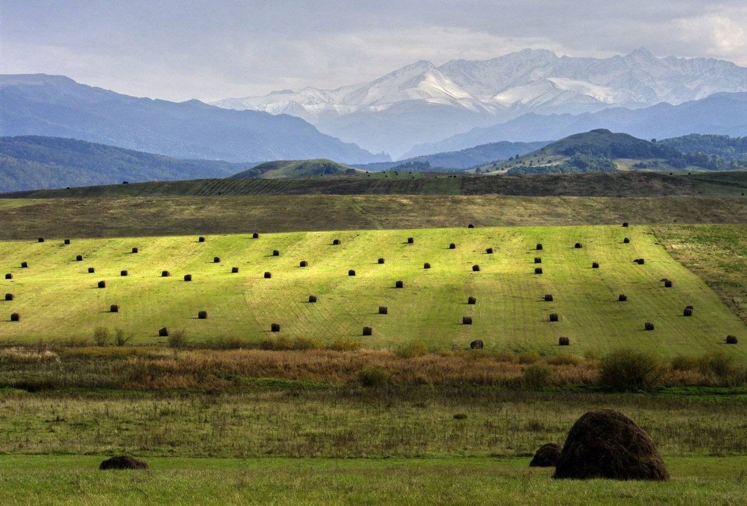 горы, поля, стога, Андрей
