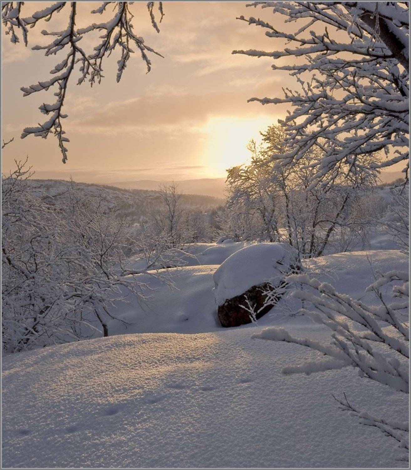 солнце, сопки, снег, следы, кольский, Lara