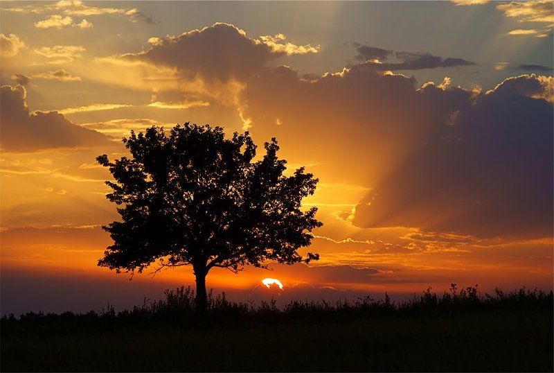 закат закат фото превью