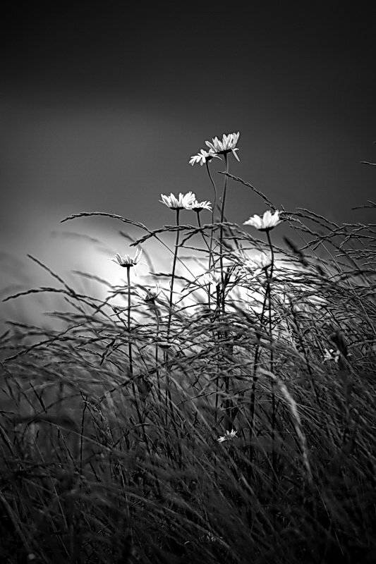 , Васенин Валерий