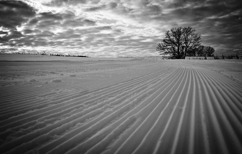пейзаж, природа, зима *** фото превью
