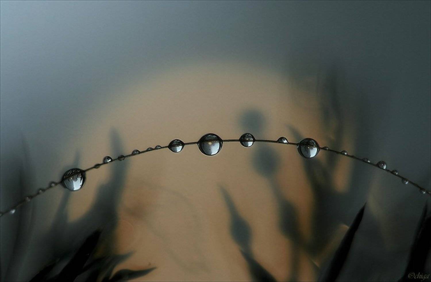 вода, капли, Chiga