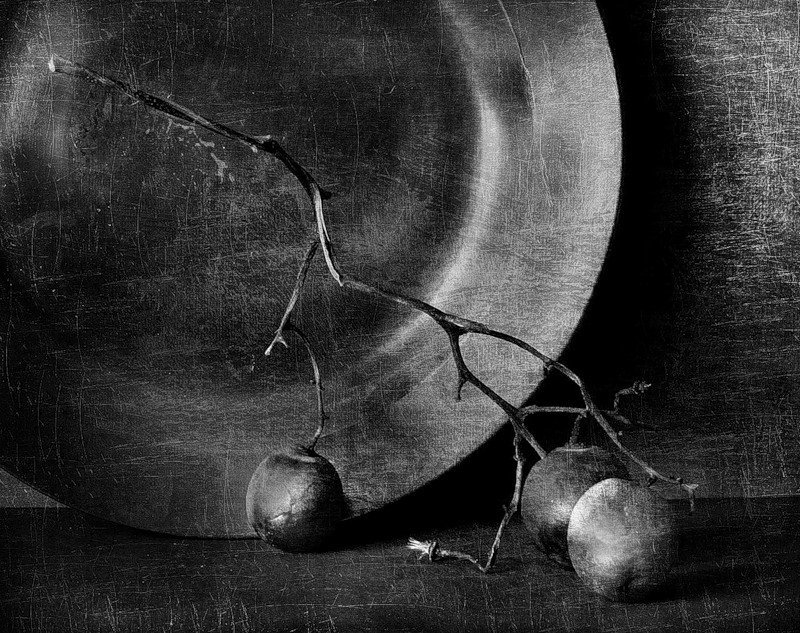 Ветка винограда.. фото превью