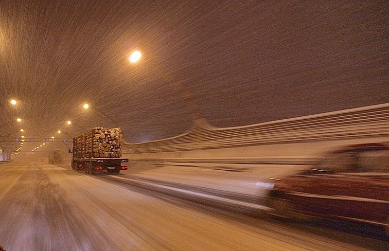 in motion фото превью