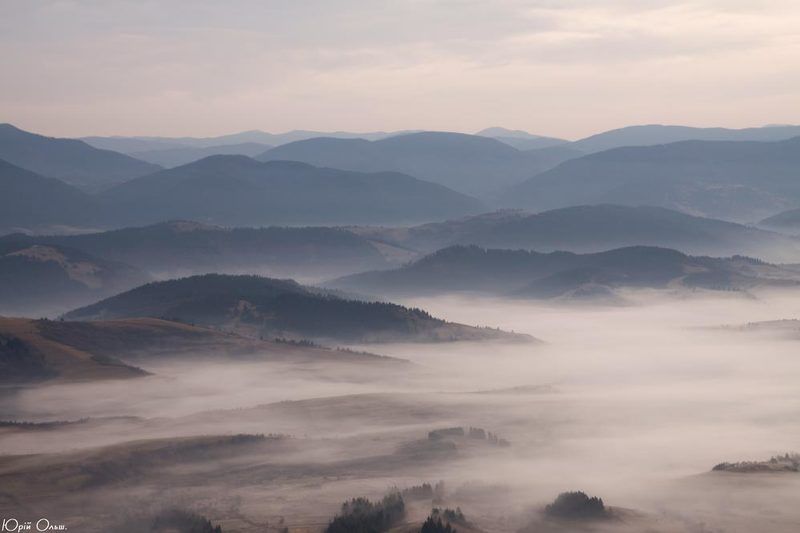 боржава, карпати, туман, ранок Боржавські походеньки фото превью