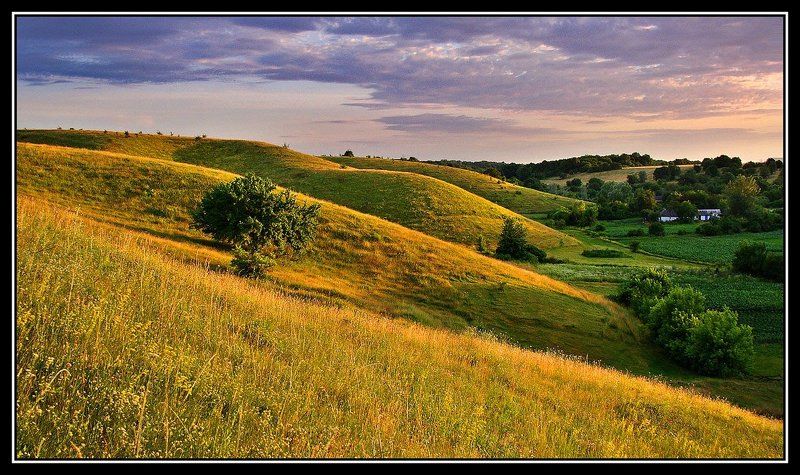 Legacy фото превью