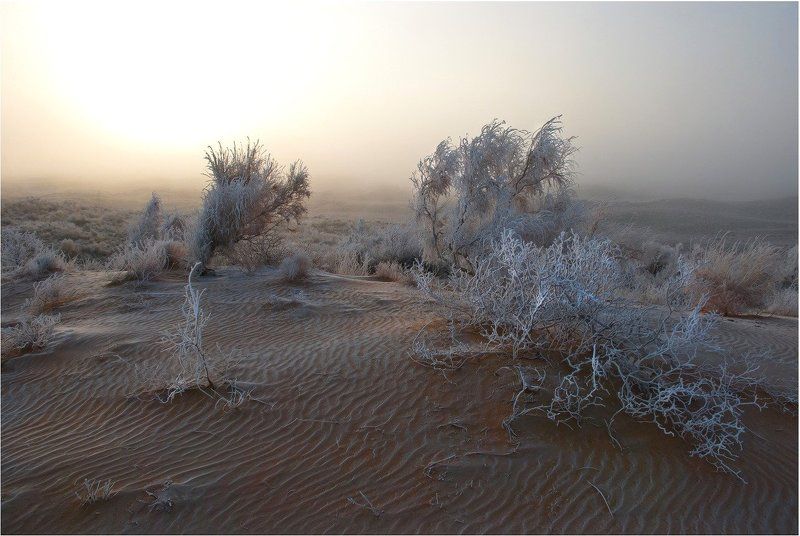 природа С добрым....утром... фото превью