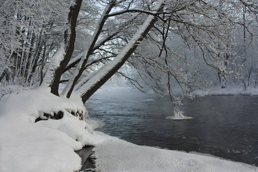 , Владимир Георгиевич