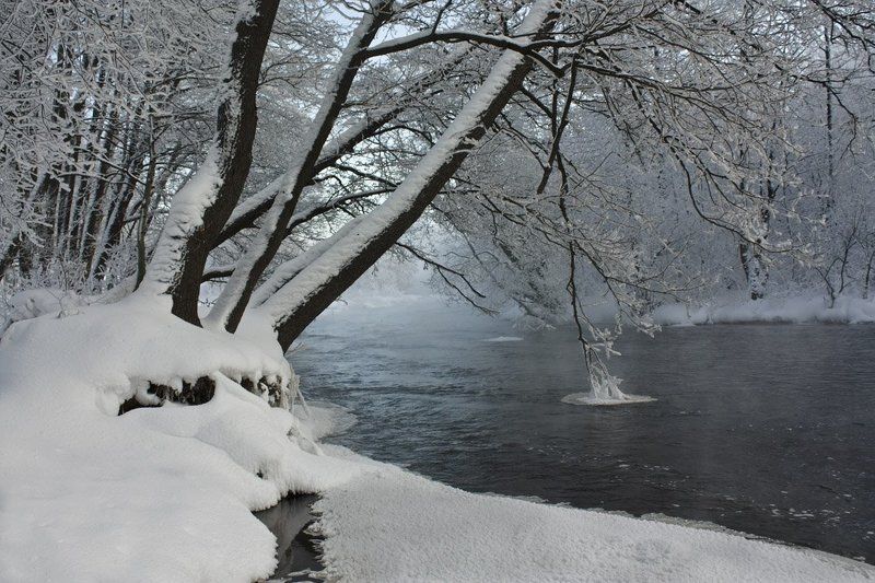 Зимний этюд фото превью