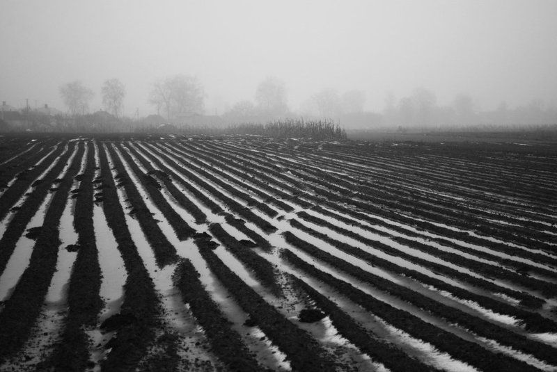 //\\\\\\\\ фото превью