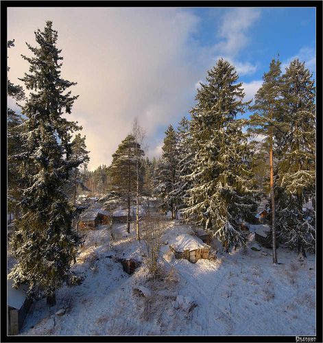 Утренний вид из окна.