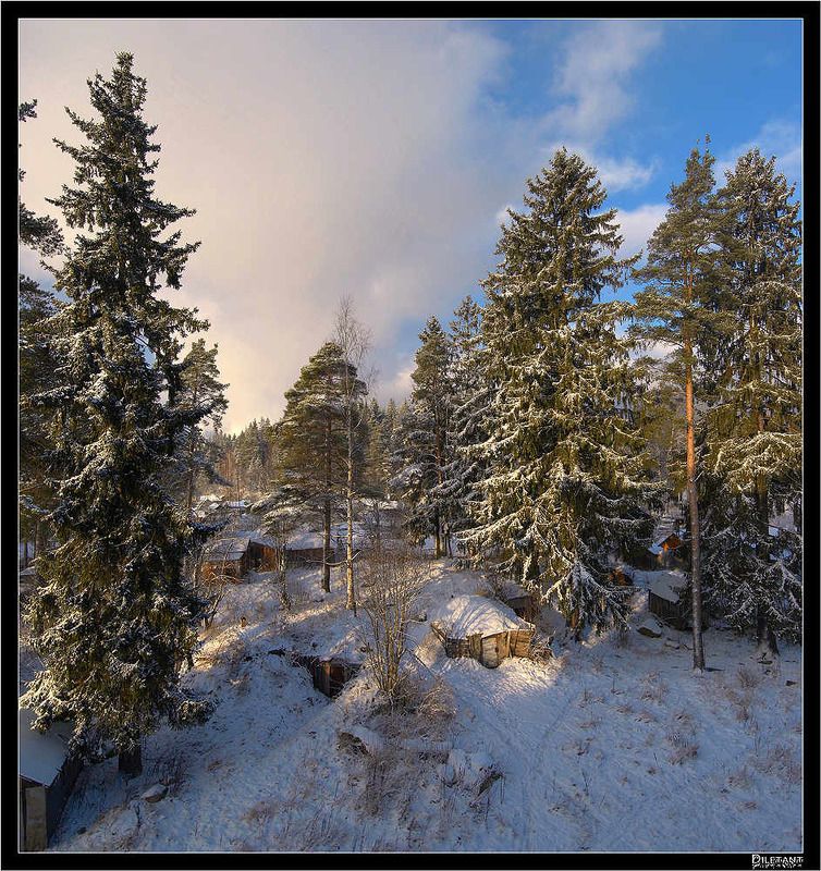 Утренний вид из окна. фото превью