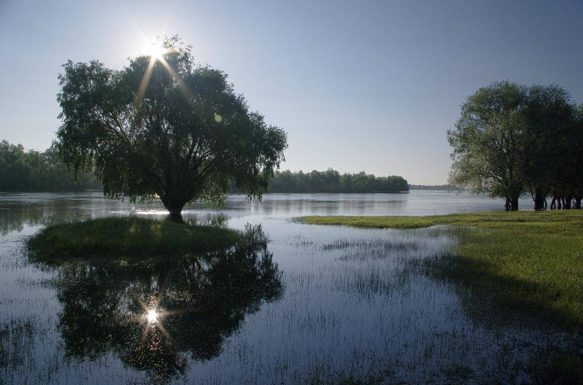 , Александр Буданов