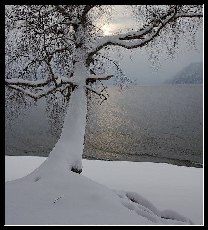 алтай, телецкое, озеро, Юрий Фролов