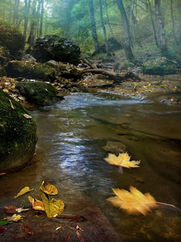 пейзаж,осень,вода,воздух листосплав фото превью