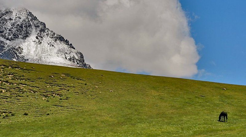 Джайляо (воля) фото превью