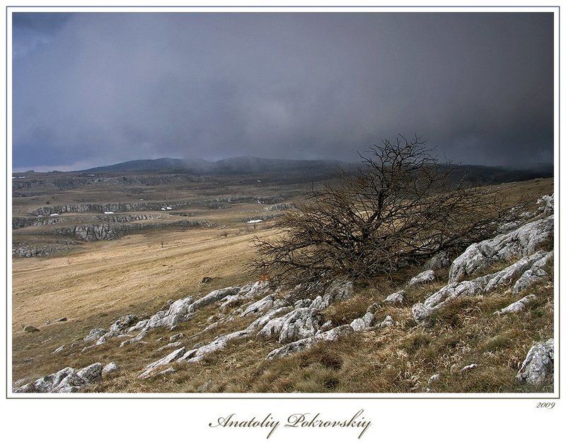 Край вымерших драконов фото превью