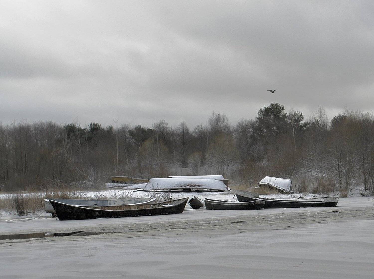 , Владимир Георгиевич